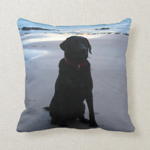 Black Labrador on a beach Cushion