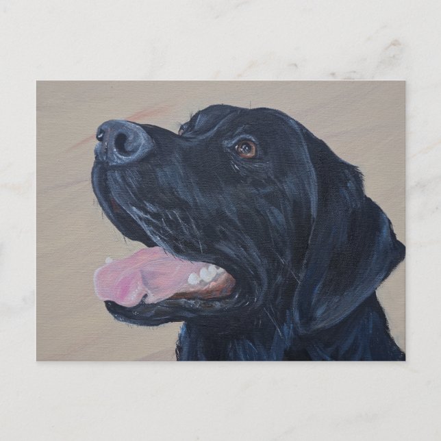 Black Labrador Painting Postcard (Front)