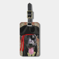 Black Labrador Pirate Dog