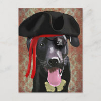 Black Labrador Pirate Dog
