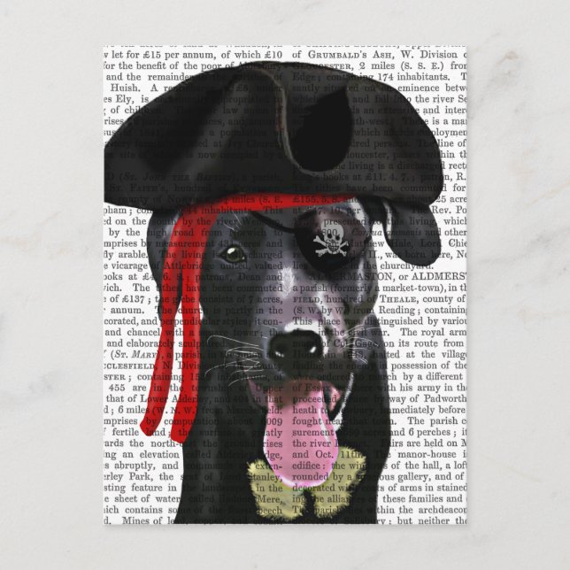 Black Labrador Pirate Postcard (Front)