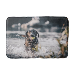 Black Labrador Plays Fetch In Water Bath Mat