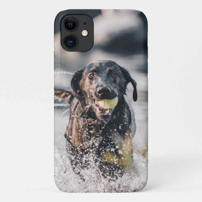 Black Labrador Plays Fetch In Water Case-Mate iPhone Case (Back)