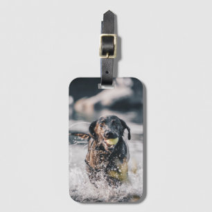 Black Labrador Plays Fetch In Water Luggage Tag