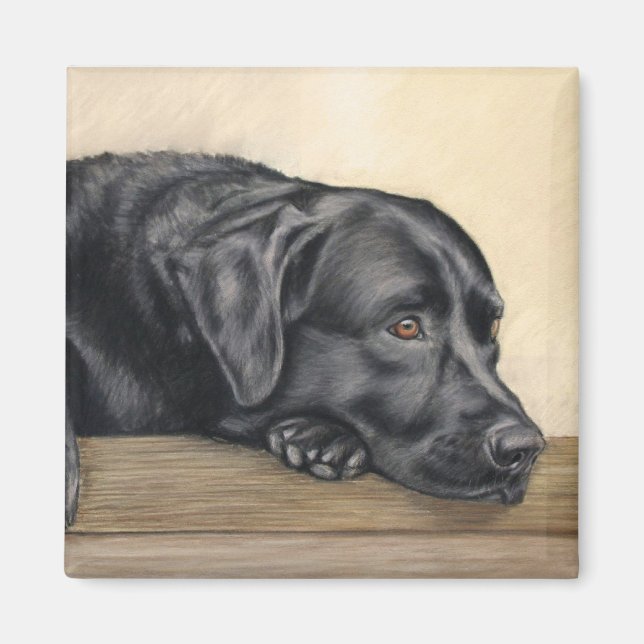 Black Labrador portrait Magnet (Front)