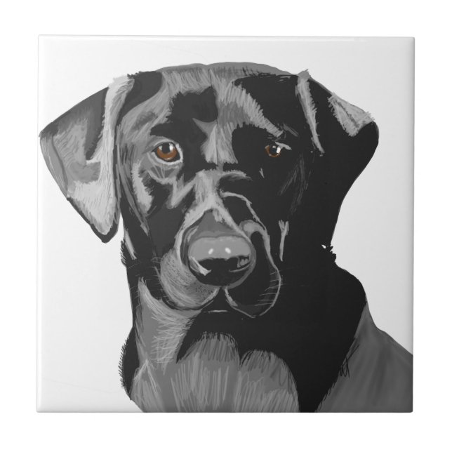 Black Labrador Portrait  Tile (Front)