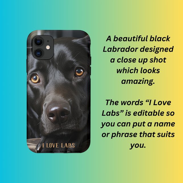 Black Labrador puppy  Case-Mate iPhone Case (Creator Uploaded)