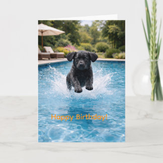 Black Labrador Puppy Pool Plunge | Cute Summer  Card