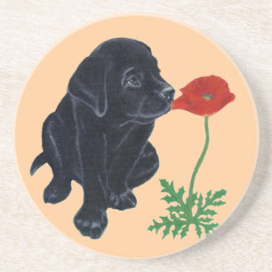 Black Labrador Puppy & Poppy Painting Coaster