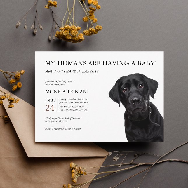 Black Labrador Retriever Baby Shower Minimalist Invitation (Creator Uploaded)