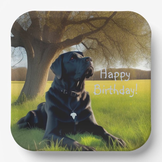Black Labrador Retriever Birthday Paper Plate (Front)