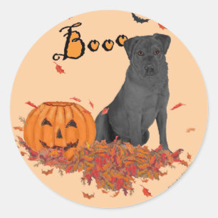 Black Labrador Retriever Boo! Classic Round Sticker
