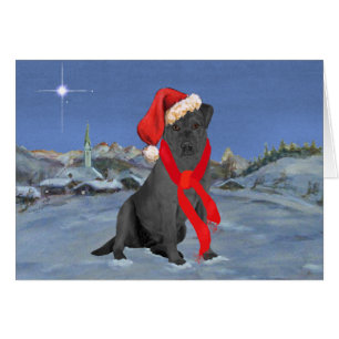 Black Labrador Retriever Christmas