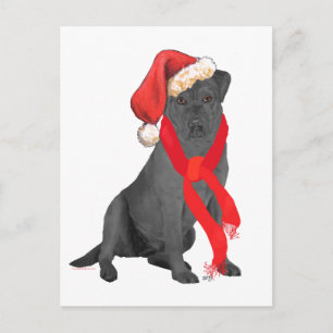 Black Labrador Retriever Christmas Holiday Postcard