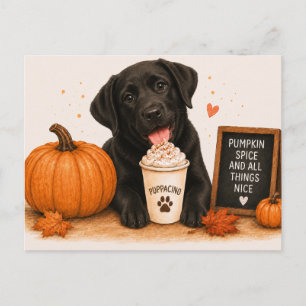 Black Labrador Retriever Cozy Pumpkin Spice Postcard