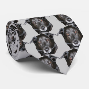 Black Labrador Retriever Dog Face Neck Tie