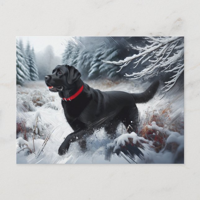Black Labrador Retriever Dog in the Snow Postcard (Front)