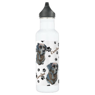 Black Labrador Retriever Dog Pawprint 710 Ml Water Bottle