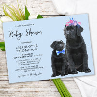 Black Labrador Retriever Dog Puppy Blue Boy