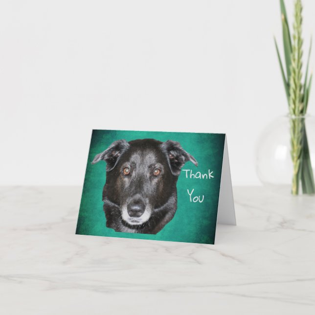Black Labrador Retriever Dog Thank You Card (Front)