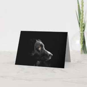 black labrador retriever greeting card