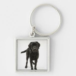 Black labrador retriever key ring