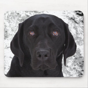 Black Labrador Retriever Mouse Pad
