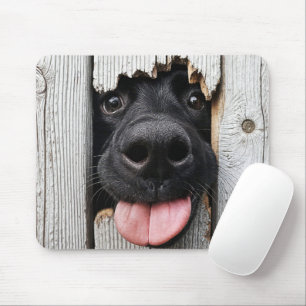 Black Labrador Retriever Nose In Wood Hole Mouse Pad
