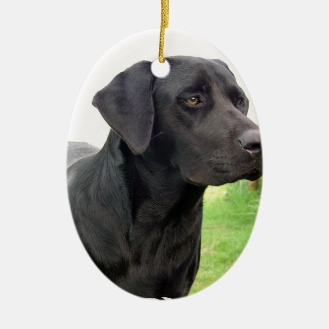 Black Labrador Retriever Ornament (Front)