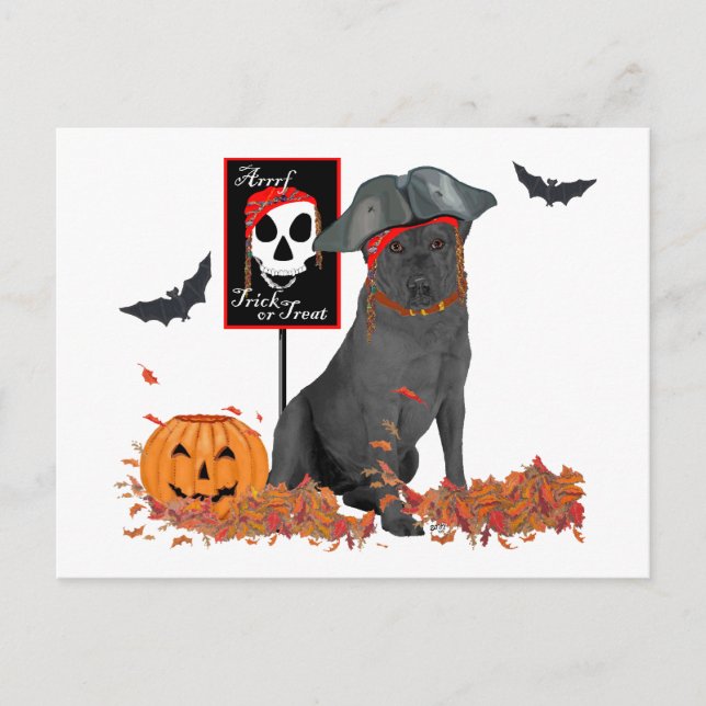 Black Labrador Retriever Pirate Postcard (Front)