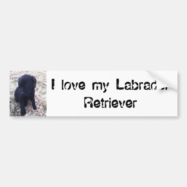 Black Labrador Retriever Puppy Bumper Sticker (Front)
