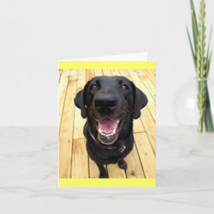 Black Labrador Retriever Puppy Dog Blank Notecard