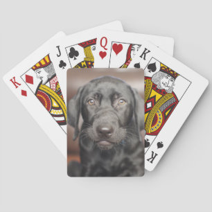 Black Labrador Retriever Puppy Dog Photo Playing Cards