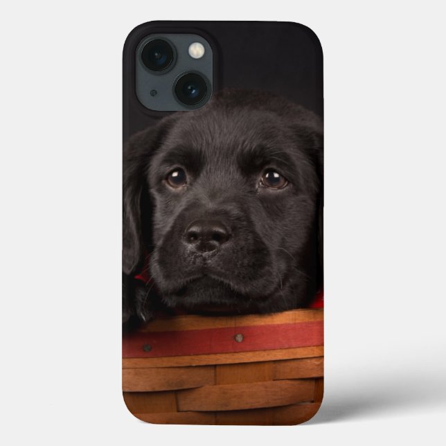 Black labrador retriever puppy in a basket Case-Mate iPhone case (Back)