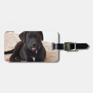 Black Labrador Retriever Puppy Luggage Tag