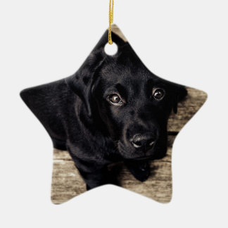 Black Labrador Retriever Puppy on Wood Ceramic Tree Decoration