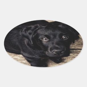 Black Labrador Retriever Puppy on Wood Oval Sticker