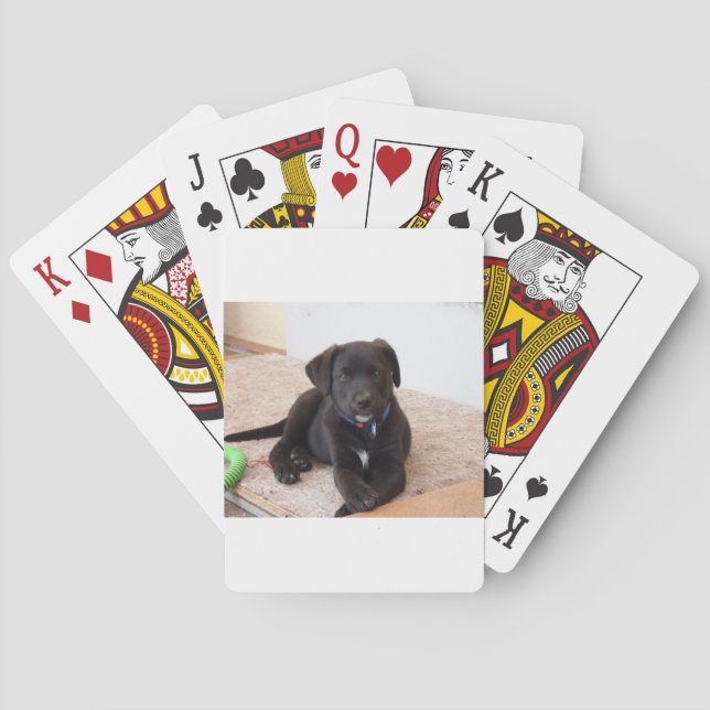 Black Labrador Retriever Puppy Playing Cards (Back)