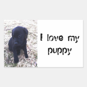 Black Labrador Retriever Puppy Rectangular Sticker