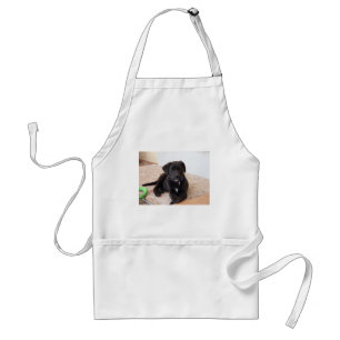 Black Labrador Retriever Puppy Standard Apron
