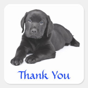 Black Labrador Retriever Puppy Thank You Sticker