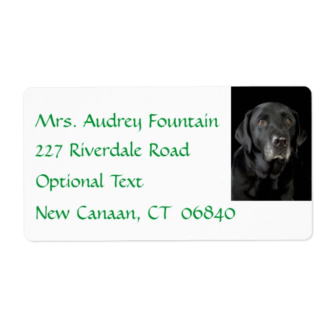 Black Labrador Retriever Return Name Address Label (Front)