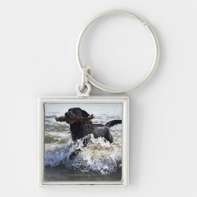Black Labrador retriever running through surf, Key Ring (Front)