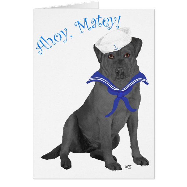 Black Labrador Retriever Sailor (Front)