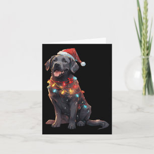 Black Labrador Retriever Santa Hat Christmas Light Card