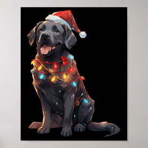 Black Labrador Retriever Santa Hat Christmas Light Poster