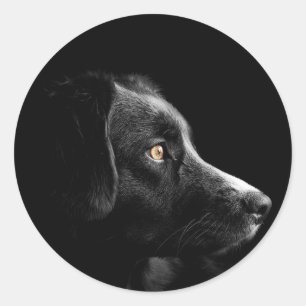 black labrador retriever stickers