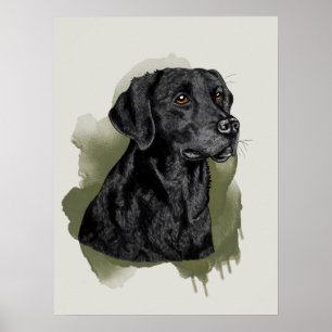 Black Labrador Retriever Watercolor Art Portrait Poster