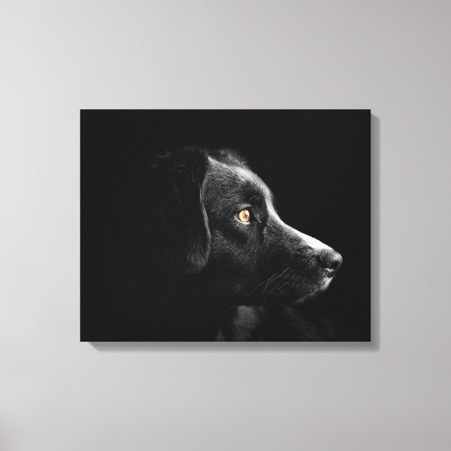 black labrador retriever wrapped canvas (Front)