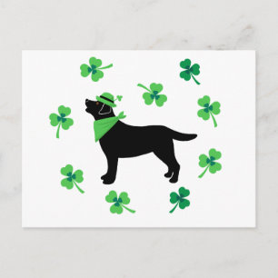 Black Labrador St. Patrick's Day Shamrock Leaves Postcard